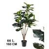 Lilium stablo fikus, 66 listova, visina 160 cm 567339