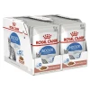 Royal Canin Indoor Sterilised In Gravy Pouch 24 x 85 g