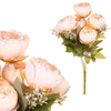 eoshop Peonije v pugetu, 9 glav, marelične barve. KN6139 APPR