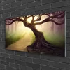 tulup.si Slika na akrilnem steklu Tree sončnimi žarki 100x50 cm 4 obešalnika