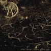 Akrasia - First Demons - Birth Of The Void (LP)