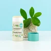 Kvitok Trdni deodorant Unisex - Cool Breeze, 42 ml