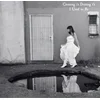 Crossing Is Dotting Ts - I Used To Be (Limited Edition) (Black/Clear/White Splatter Coloured) (LP)