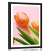 Plakat s paspartujem elegantni tulipan - 40x60 black