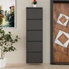 Hanah Home Cipelarnik, 50x169x15 cm, Antracit