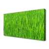 tulup.si Slika na platnu Narava green grass turf 100x50 cm