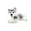 Husky plišast ležeč 23 cm - EKO-prijazno