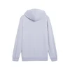 Mens Puma Essentials 2 Colour Small No. 1 Logo Hoodie, Blue, Size S, Clothing
