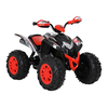 QUAD VOZILO