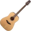 Takamine GD20 Natural Satin Akustična kitara (Kot novo)