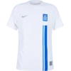 Nike Dres Dri-FIT ADV Greece Match Home 2024