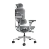 UGD Ergonomska kancelarijska stolica ProSit Deluxe, Siva