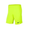 Nike Hlače svetlo zelena 178 - 182 cm/M Dry Park Iii