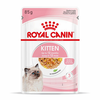 Royal Canin Kitten v želeju - 48x85 g