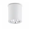 FARO 63124 - Plafonsko svetlo POTE 1xE27/60W/230V