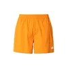 THE NORTH FACE SORTS KUPACI M CLASS V PATHFINDER PULL ON SHORT - 5 ZA MUŠKARCE