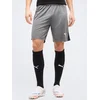 Puma Kratke hlače teamLIGA26