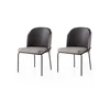 Hanah Home Set trpezarijskih stolica Dore 196 V2, 2 komada, Tamnosivi