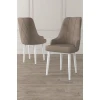 Hanah Home Set stolica Trex, 46x95x42 cm, 2 komada, Belo-smeđe