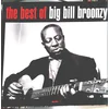 BIG BILL BROONZY - BEST OF