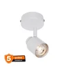 Ledvance Osram Primal bela spot lampa 1xGU10 ( 4099854587429E )