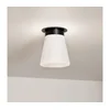 Kichler KL-ALBERS-F-T-BK-Plafonsko svetlo ALBERS 1xE27/40W/230V prečnik 21,6 cm crna