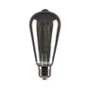 Rabalux 79222 - LED sijalica FILAMENT ST64 E27/6W/230V 3000K
