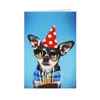 DEXY CO ČESTITKA HAPPY BIRTHDAY DOG