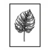 shumee PLAKAT ZA SLIKE V OKVIRJU 43x33 cm List P1139