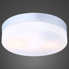 GLOBO plafonejra Vranos 32112