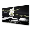 tulup.si Steklena slika Vejica flower stebla 140x70 cm 4 obešalnika