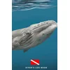 Diver's Log Book: scuba diving log book 100 dives