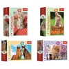 Trefl Display Puzzle Simpatične živali 54 kosov (40 kosov)