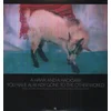 A Hawk And A Hacksaw - You Have Already Gone To The Other World (2 LP)