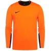 Dres Nike MENS TEAM GOALKEEPER JERSEY LONG SLEEVE