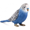 Mojo Budgerigar blue