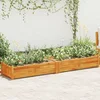 Posuda za Sadnju Drvo Bagrema 200x50x25 cm