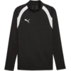 Puma Mikica teamFINAL26 Training 1/4 Zip