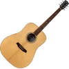 Pasadena PD-250 Open Pore Natural Akustična kitara (Samo odprto)