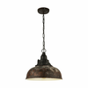 Eglo 49819 - Luster na lancu GRANTHAM 1 1xE27/60W