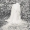 Joseph Decosimo - Fiery Gizzard (LP)