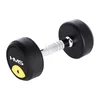 Northix 4 kg gumijasta uteži - oprema za domačo telovadnico