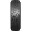 Delinte WinterForce ( 245/45 R18 100H XL )