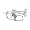 Krilovka Bb 1FRSP Conn Vintage One 704.084