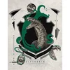 Harry Potter Art Print : Slytherin