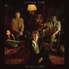 Little Cub - Still Life (Deluxe Edition) (Gold Coloured) (LP)