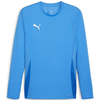 Dre z dolgimi rokavi Puma teamGOAL Jerey L M