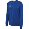 Hummel Majica z dolgimi rokavi HMLAUTHENTIC CO TRAINING SWEAT