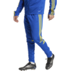 Hlače adidas SQUADRA25 TR PNT