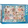 Muschelsammlung (Puzzle)